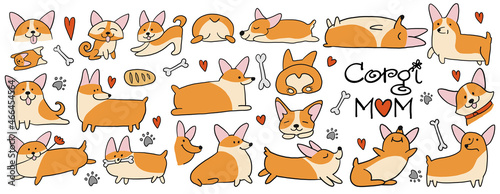Corgi dogs set. Funny Puppies collection. Sketch for your design.