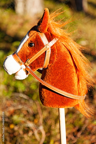 a brown stick horse to play with