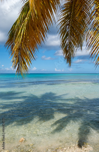 Fototapeta Naklejka Na Ścianę i Meble -  Beautiful seascape. Saona Island and the Caribbean Sea.