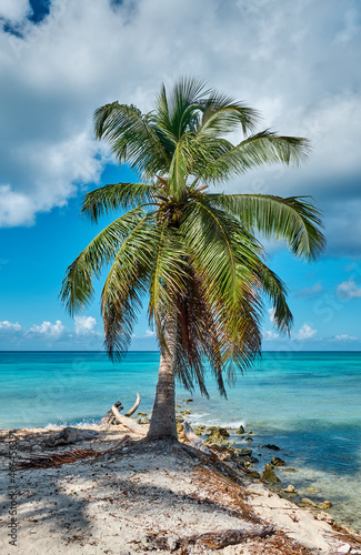 Fototapeta Naklejka Na Ścianę i Meble -  Beautiful seascape. Saona Island and the Caribbean Sea.