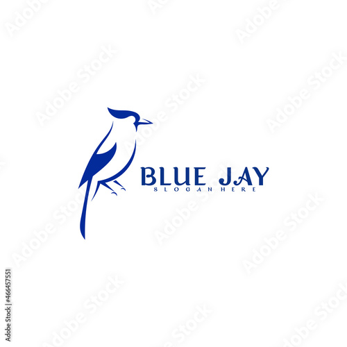 Blue jay bird logo vector design. Modern creative design