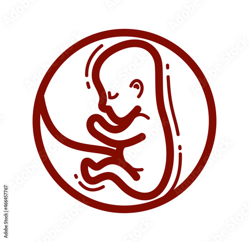 Human fetus embryo womb unborn child vector linear icon isolated on white background.