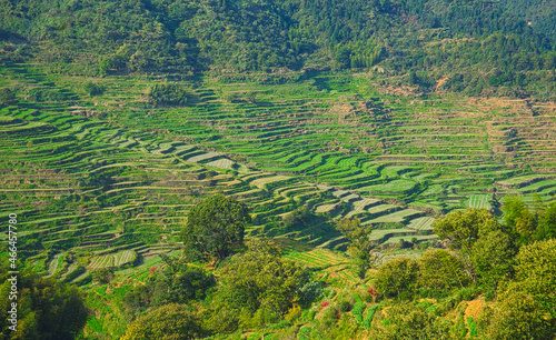 In the valley, the curved terraces are clearly defined. An ancient Huizhou architectural settlement in Huangling Village, Wuyuan, Jiangxi, China.