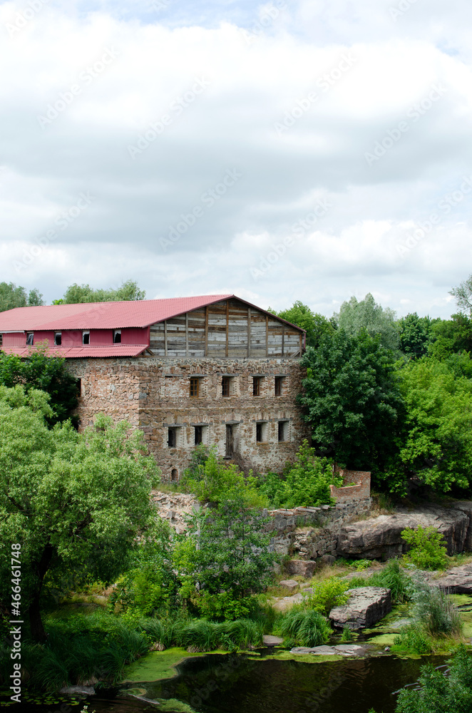 Abandoned building in forest