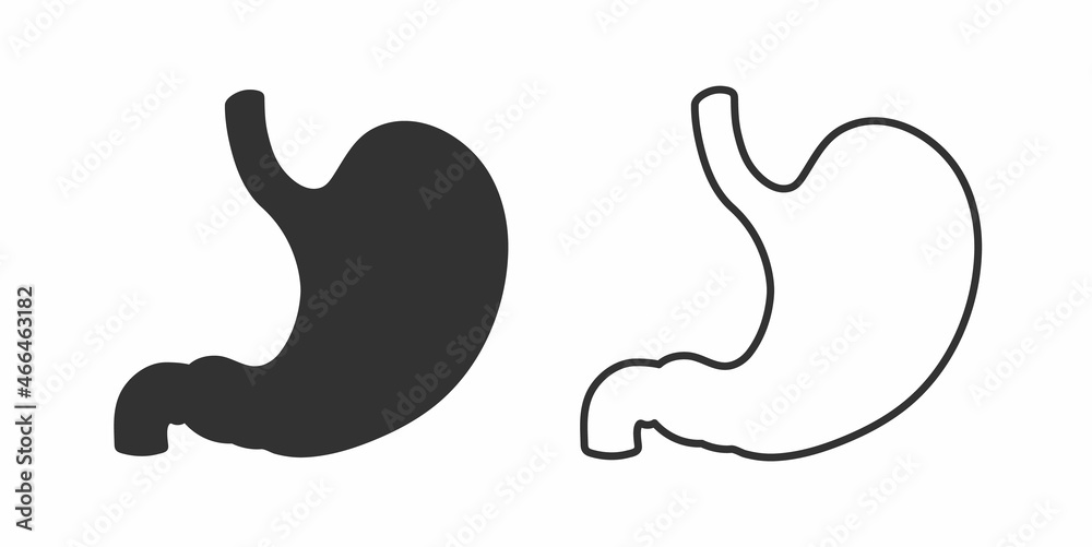 Vector human stomach icon isolated on white background. Vector illustration Vector human stomach icon isolated on white background. Vector illustration