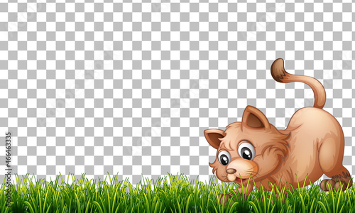 Cute cat on transparent background