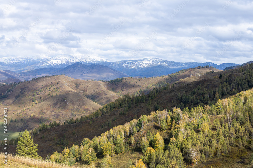 Mountain Charysh Altai Territory, Russia, autumn daytime horizontal landscape, with mountainous terrain, forest, and snow-capped mountains and clouds