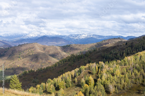 Mountain Charysh Altai Territory, Russia, autumn daytime horizontal landscape, with mountainous terrain, forest, and snow-capped mountains and clouds © Евгений Семенюк