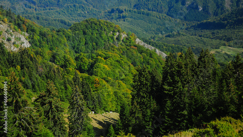 Beautiful view above the old beech forests growing in Capatanii Mountains. Autumn Season, Carpathia, Romania.