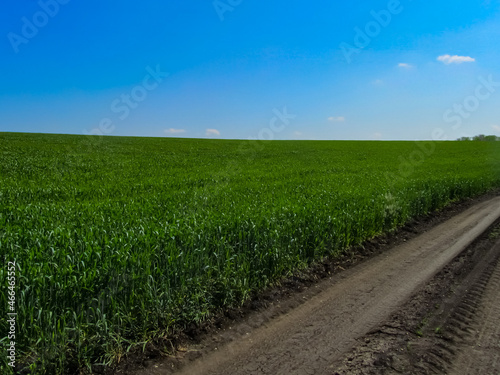 The road passes next to a green agricultural field