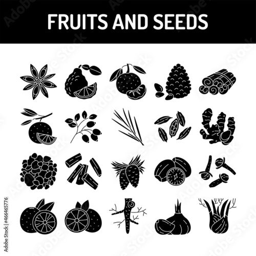 Fruit and seeds color line icons set. Pictogram for web page, mobile app, promo