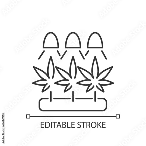 Cannabis cultivation linear icon. Grow herbs under artificial light. Marijuana seeds germination. Thin line customizable illustration. Contour symbol. Vector isolated outline drawing. Editable stroke