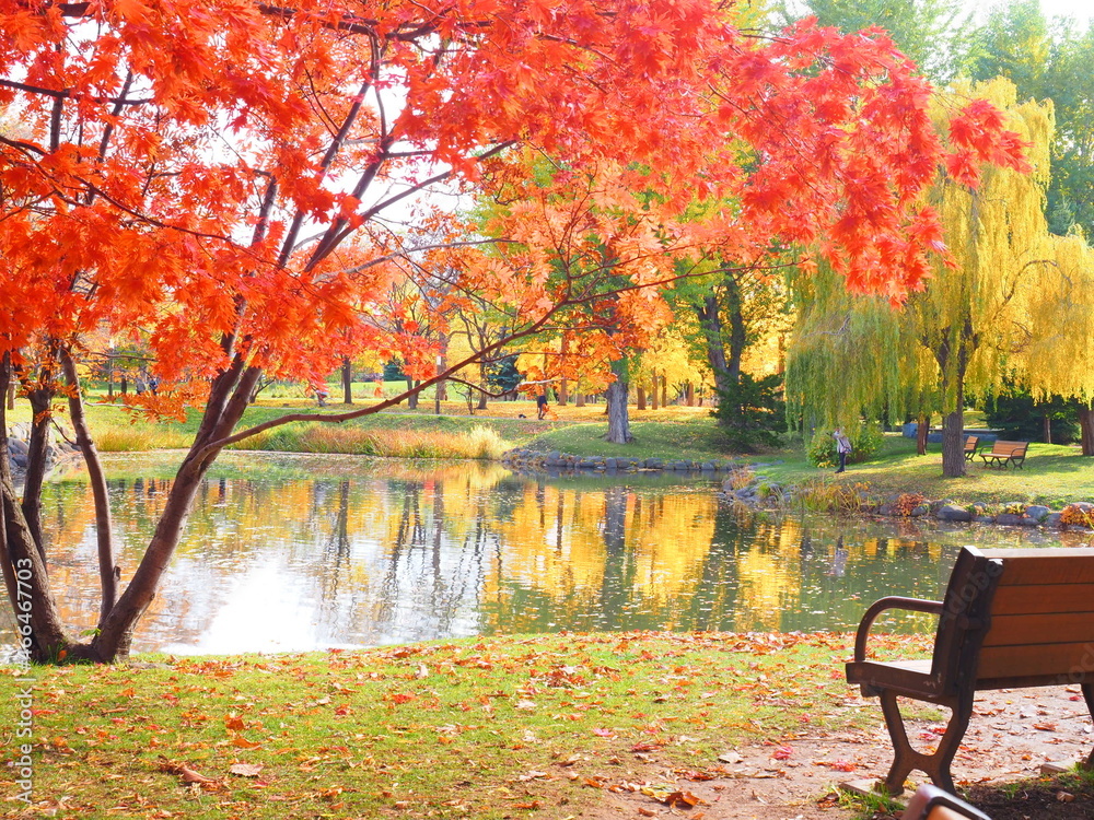 北海道の絶景 秋の札幌中島公園 紅葉風景