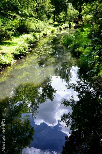 river in the forest