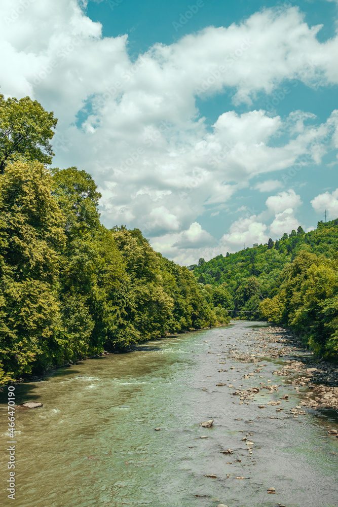 Beautiful landscape view of pine forest and fast river on blue cloud sky background