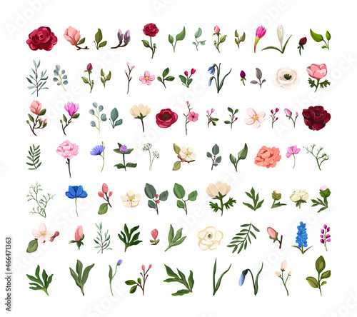 Set of watercolor flowers, twigs, leaves. Vector floral illustrations for creating designs.