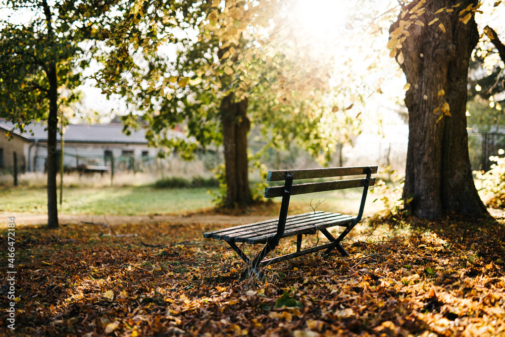 Parkbank im Sonnenschein die zum verweilen einlädt Parkbank im Sonnenschein die zum verweilen einlädt