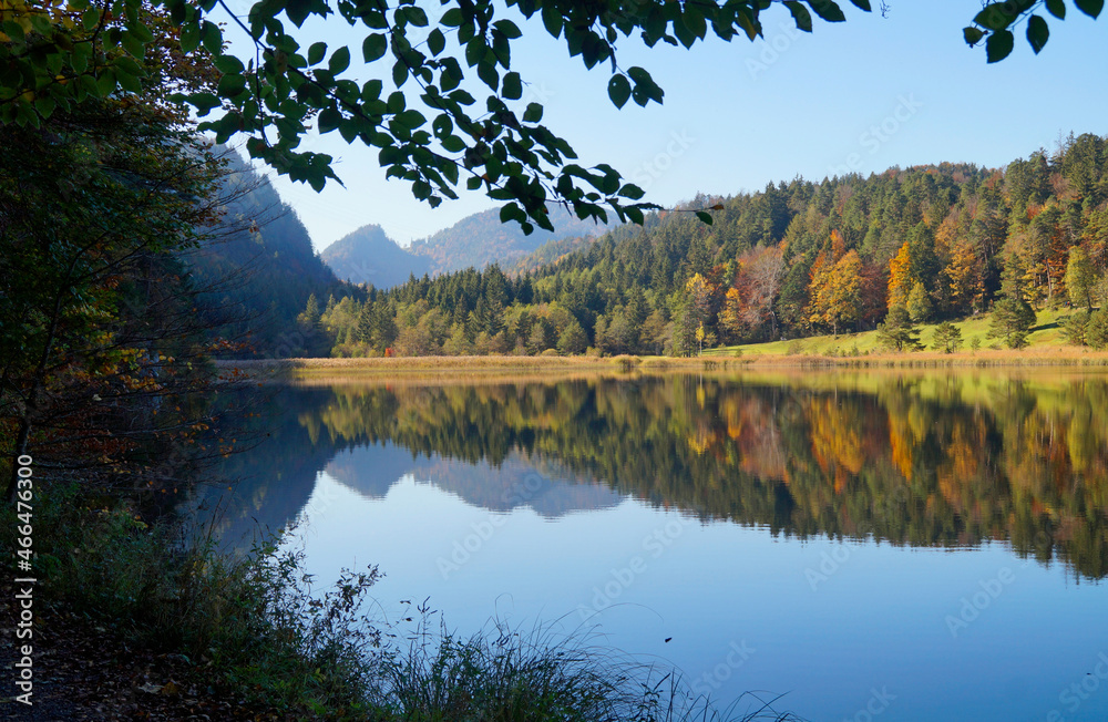 Fototapeta premium a scenic view of emerald-green lake Alatsee on a fine autumn day in Bad Faulenbach (Fuessen, Bavaria in Germany) 