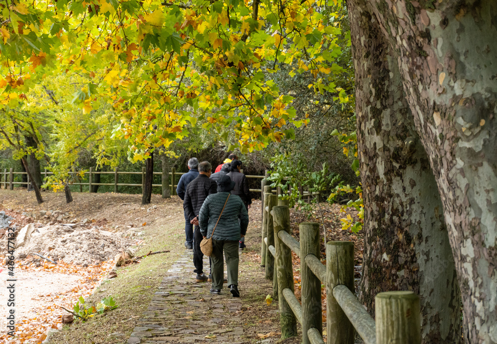 People walking beside a wooden railing in a park. People walking beside a wooden railing in a park.