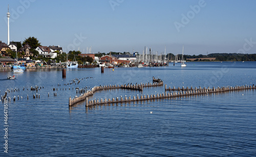 Herring fence photo