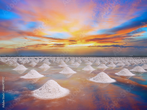salt field in evaporation process, photo