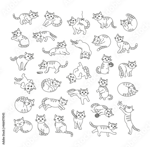 A collection of cute cats in different poses in a linear style. Illustrations for creating coloring pages  books  stickers  prints.