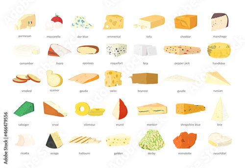 Collection of types of cheeses in a realistic style. photo