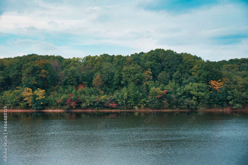 Obraz premium 初秋の湖