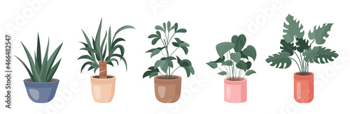Trendy collection of home cute houseplants in flowerpots pack icons. Set of popular home decor flowers in pot modern illustrations. Cozy vector plants decoration elements in flat swiss graphic style.