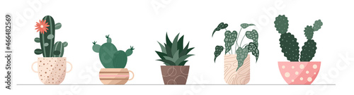 Trendy collection of home cute houseplants in flowerpots pack icons. Set of mini cactus and succulents in pots modern illustrations. Cozy vector cacti decoration elements in flat swiss graphic style.