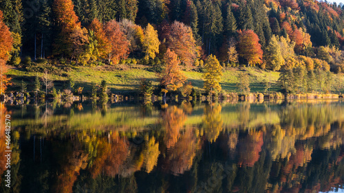 Bäume im Herbst spiegeln im Wasser