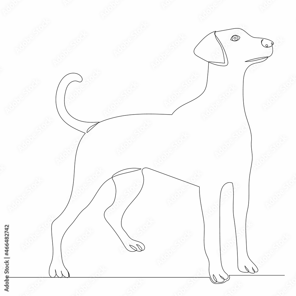 sketch dog line drawing, vector sketch dog line drawing, vector