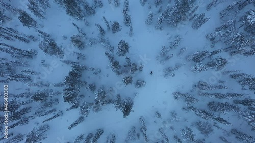 Aerial drone view above a man snow biking in polar night darkness of Yllas, Lapland photo