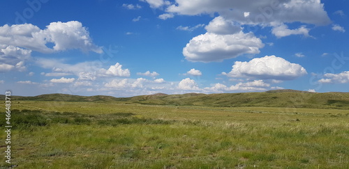 steppes, meadows of Kazakhstan