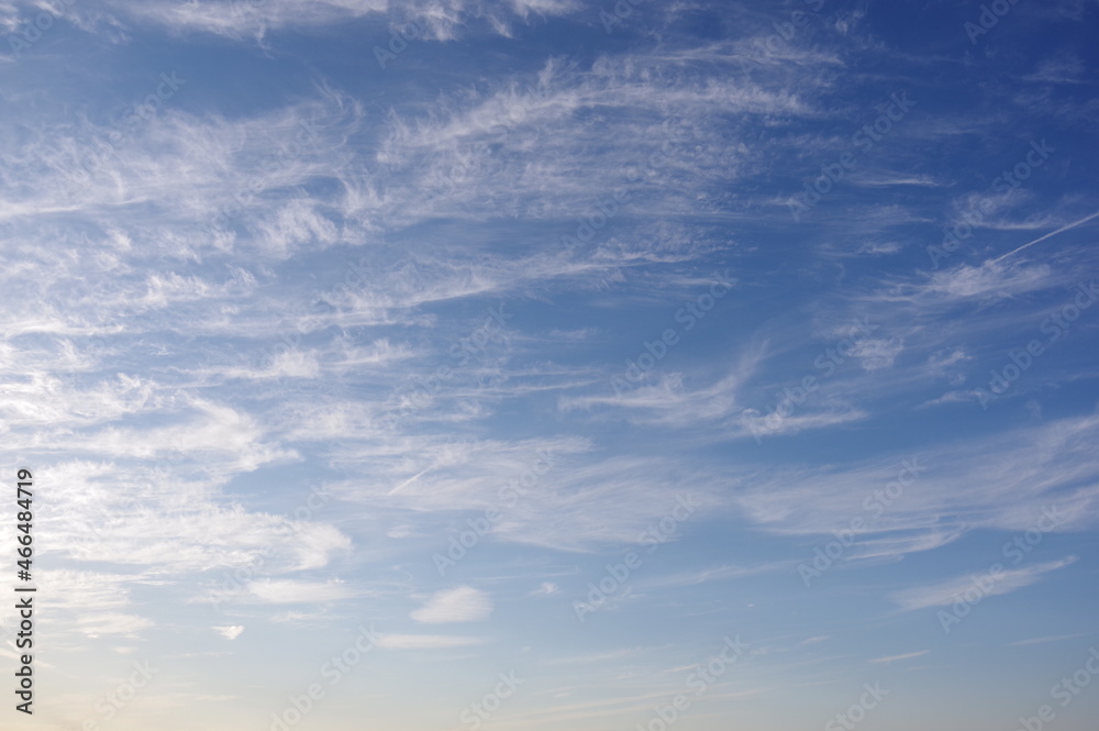 Fototapeta premium 空