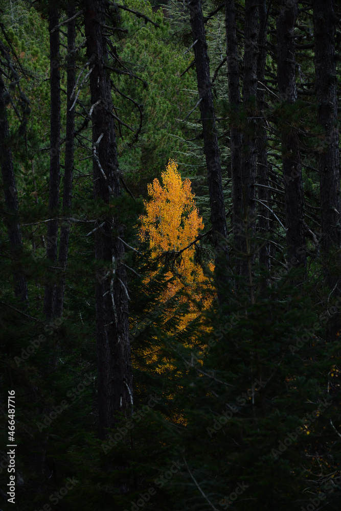 Obraz premium Awareness 