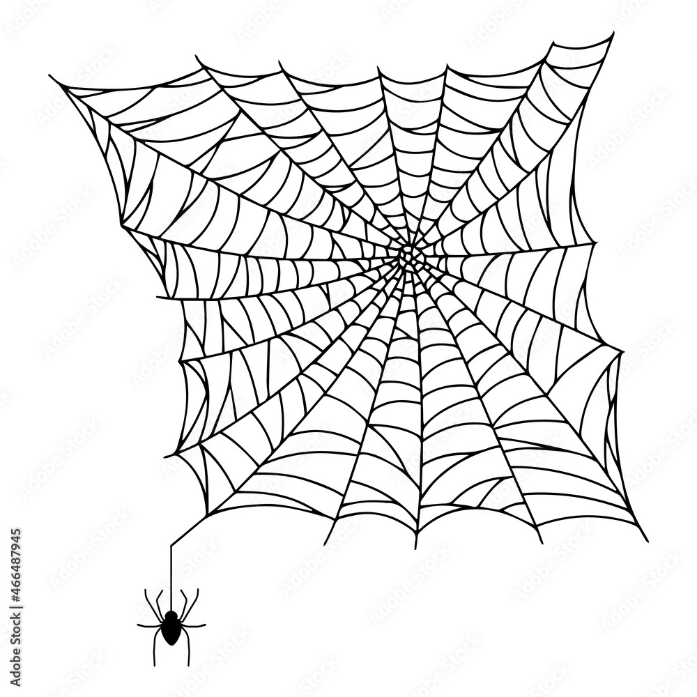 Fototapeta premium Spider web isolated on white background. Spooky cobwebs with spiders.