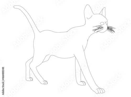 Outline of a walking cat from black lines isolated on a white background. Vector illustration