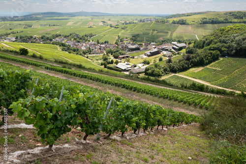 Sancerre, Chavignol