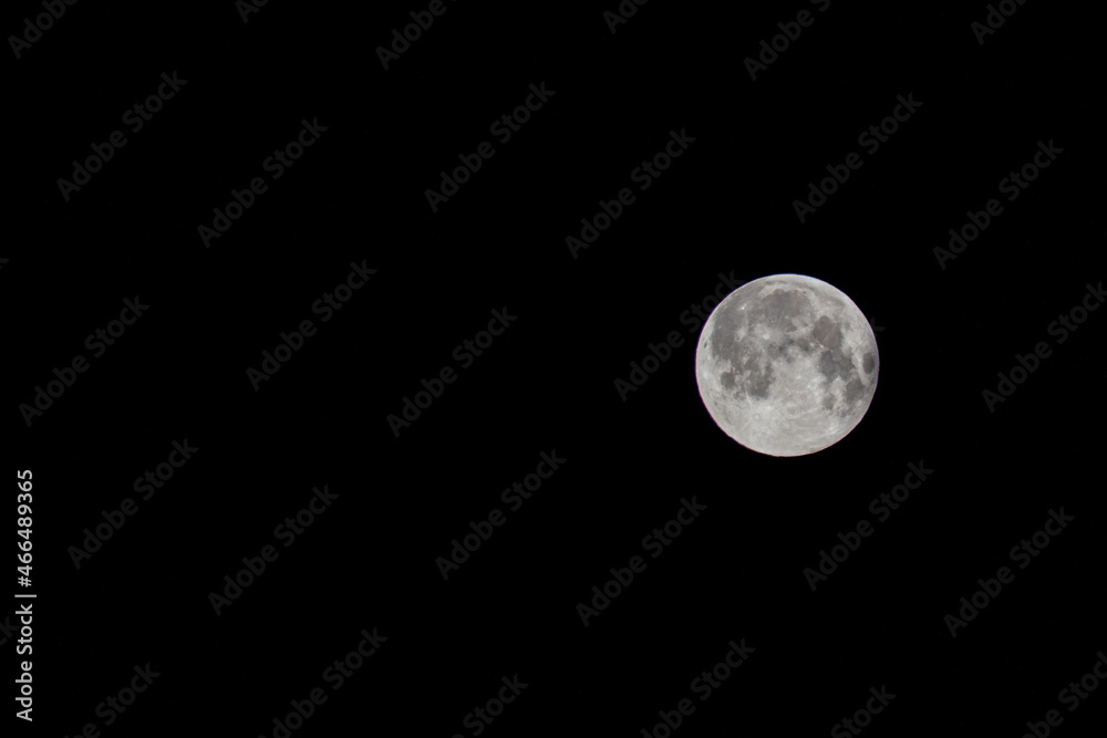 Obraz premium Super moon close up, night shot of a full moon