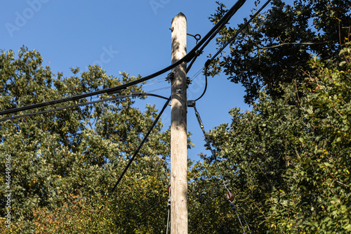 Strommast mittig im Wald