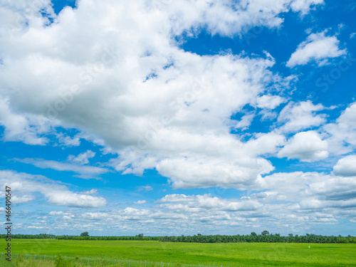 eautiful view of green rice field with cloud