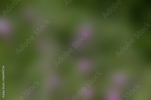Blurred,green,smooth gradient design abstract backgrounds,horizontal image
