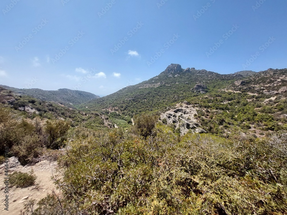 Naklejka premium mediterranean forest on the island of Crete