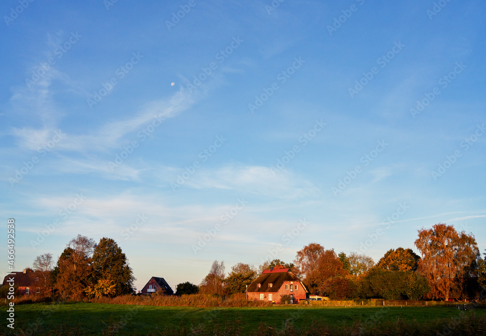 traditional brick house with reed roof in the district Wesermarsch (Germany) in morning sunlight under vivid blue sky with visible moon during autumn