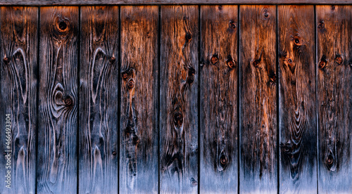 Old wood texture background. Rustic wooden plank from oak tree. Hardwood banner layout. photo