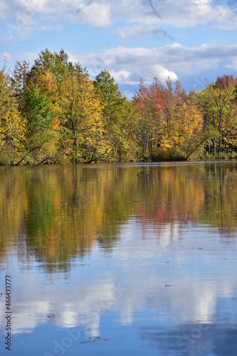 Autumn in the park