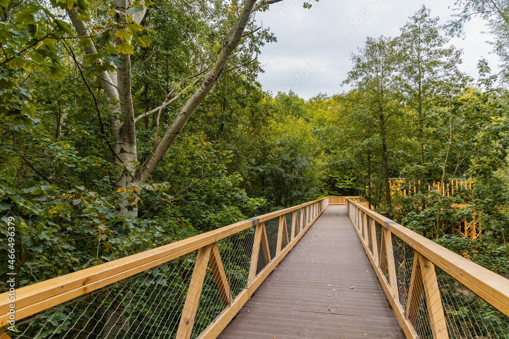 Footbridge among trees over small Szklarka river