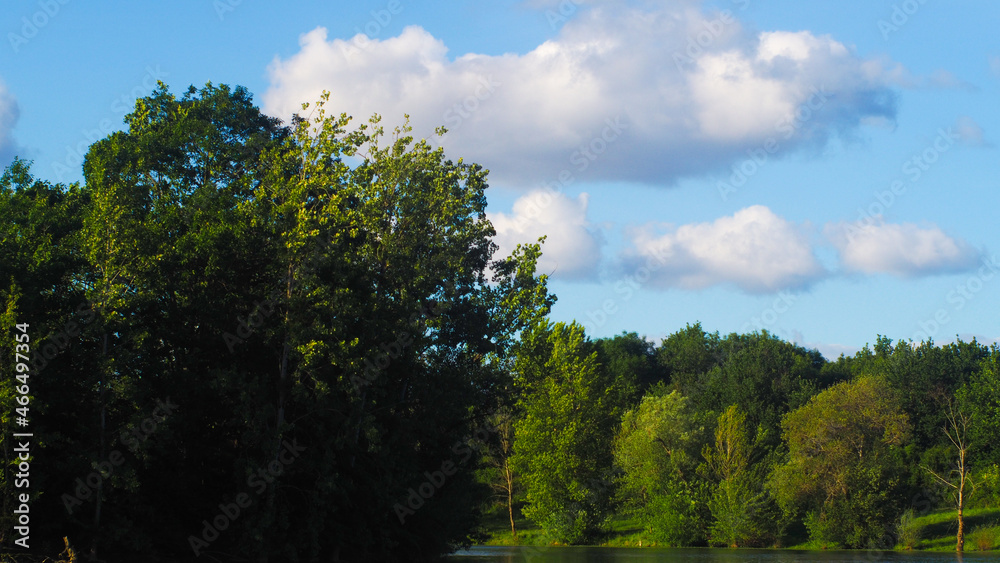 Rive d'un étang de pêche, à proximité de Toulouzette, dans la Chalosse. L'Adour passe non loin de ce lieu Rive d'un étang de pêche, à proximité de Toulouzette, dans la Chalosse. L'Adour passe non loin de ce lieu