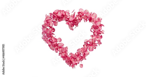 Rose petals float along a heart - 3D rendering - alpha channel included